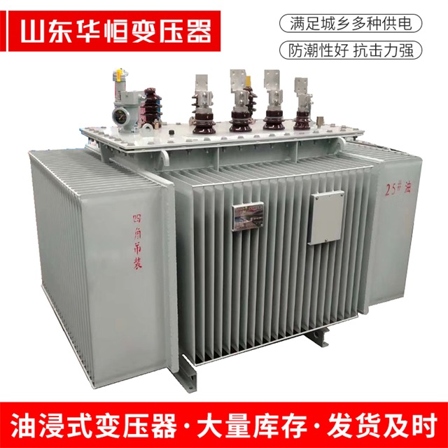 S13-10000/35三水三水三水电力变压器厂家
