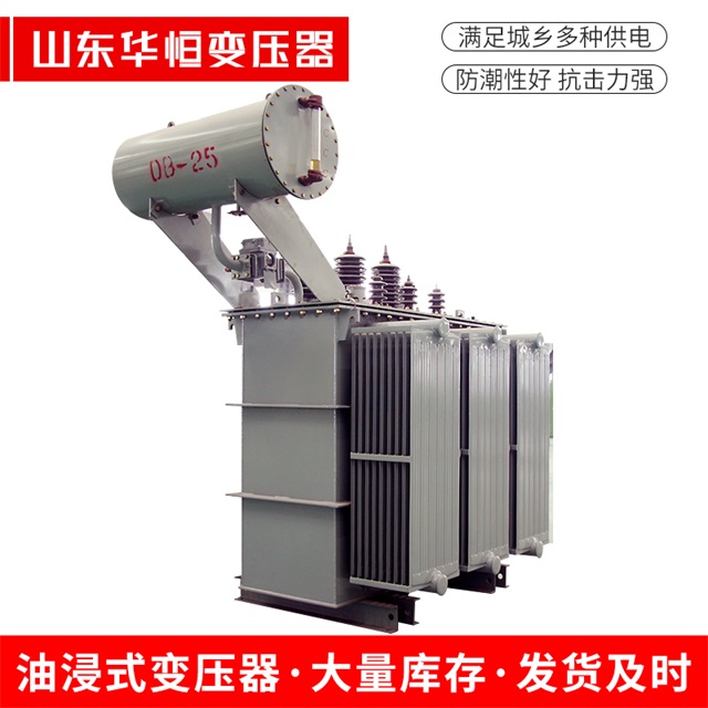 S11-10000/35三水三水三水电力变压器厂家