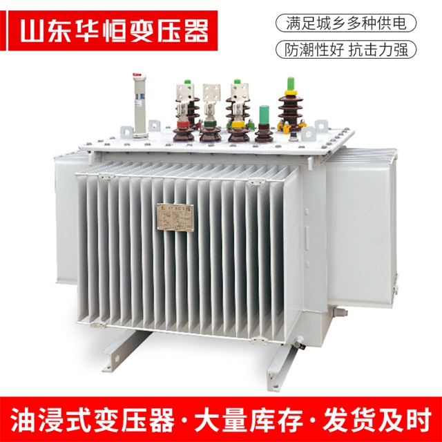S13-10000/35三水三水三水电力变压器